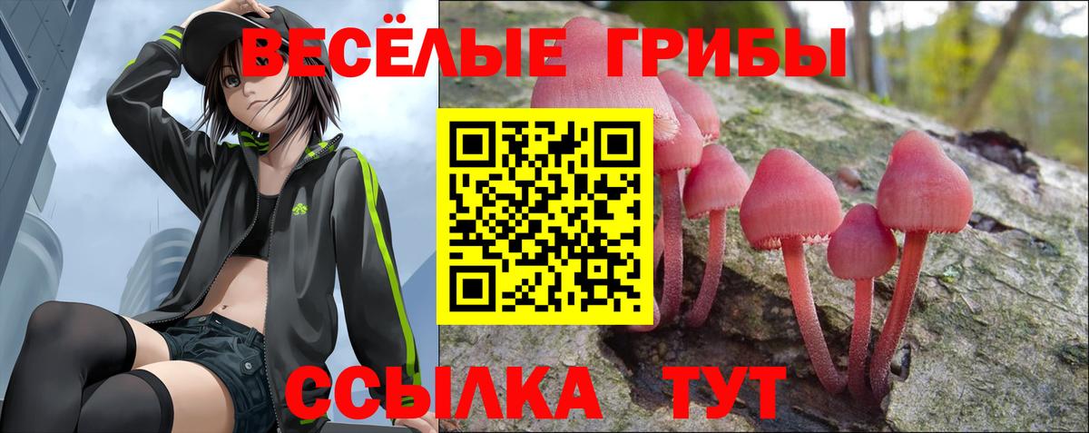 Псилоцибиновые грибы ЛСД Междуреченск